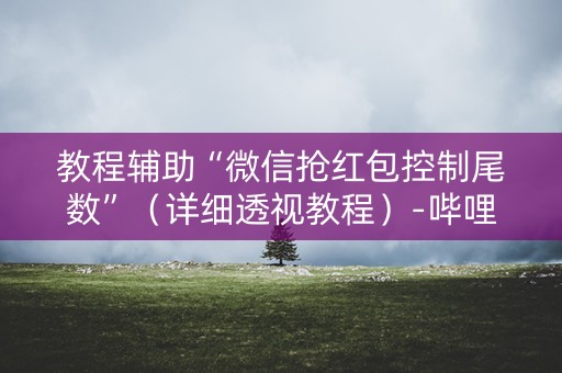 教程辅助“微信抢红包控制尾数”（详细透视教程）-哔哩哔哩
