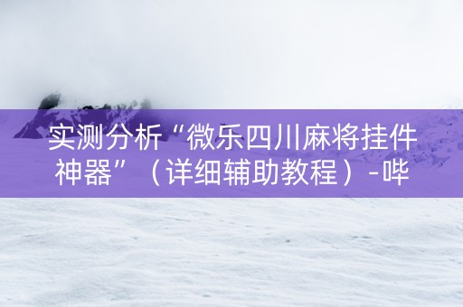 实测分析“微乐四川麻将挂件神器”（详细辅助教程）-哔哩哔哩
