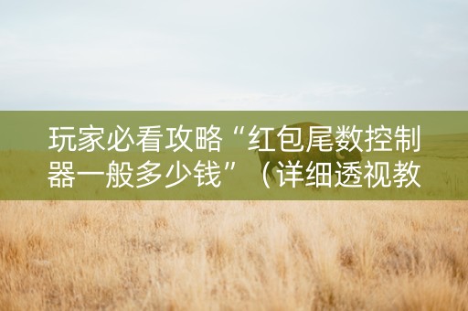 玩家必看攻略“红包尾数控制器一般多少钱”（详细透视教程）-哔哩哔哩
