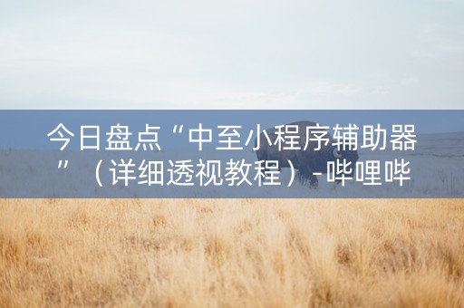 今日盘点“中至小程序辅助器”（详细透视教程）-哔哩哔哩