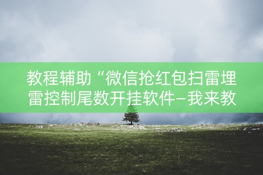 教程辅助“微信抢红包扫雷埋雷控制尾数开挂软件—我来教教你怎么开挂”（详细透视教程）-哔哩哔哩