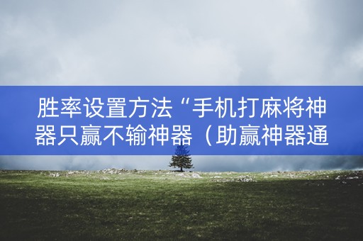胜率设置方法“手机打麻将神器只赢不输神器（助赢神器通用版）