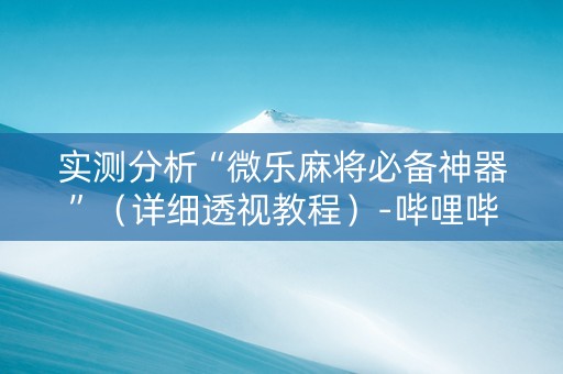 实测分析“微乐麻将必备神器”（详细透视教程）-哔哩哔哩