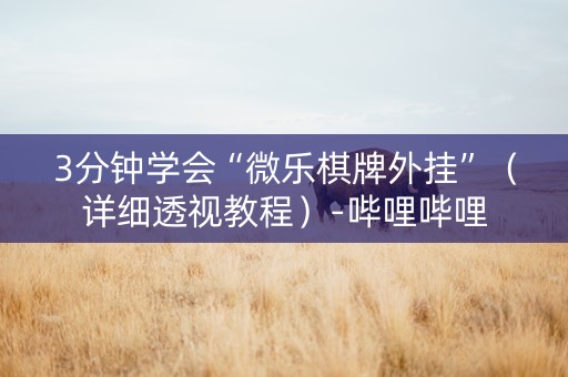 3分钟学会“微乐棋牌外挂”（详细透视教程）-哔哩哔哩