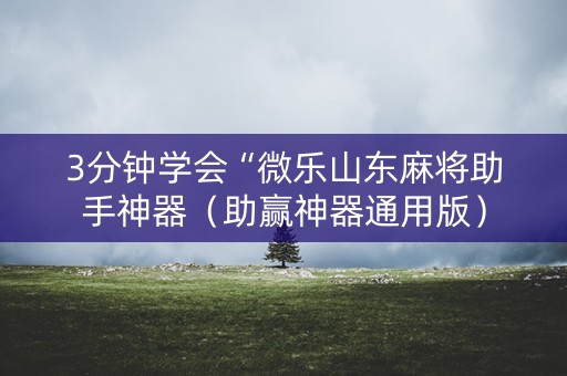 3分钟学会“微乐山东麻将助手神器（助赢神器通用版）