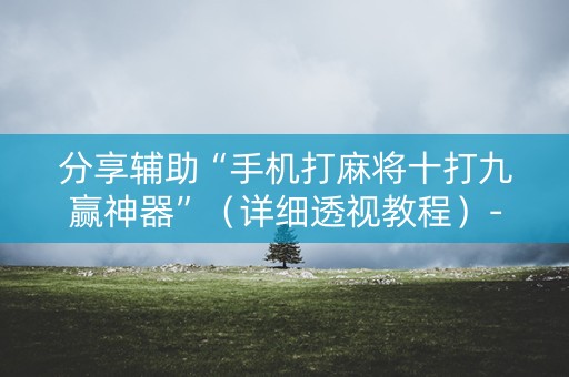 分享辅助“手机打麻将十打九赢神器”（详细透视教程）-哔哩哔哩
