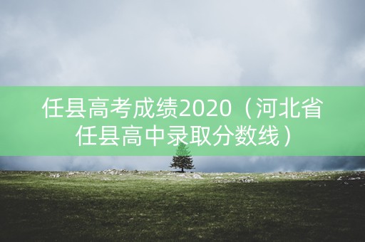任县高考成绩2020（河北省任县高中录取分数线）