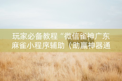 玩家必备教程“微信雀神广东麻雀小程序辅助（助赢神器通用版）