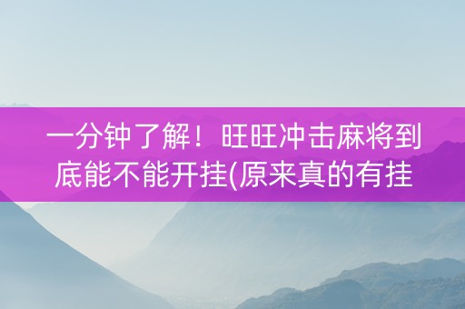 一分钟了解！旺旺冲击麻将到底能不能开挂(原来真的有挂)