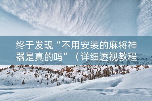 终于发现“不用安装的麻将神器是真的吗”（详细透视教程）-哔哩哔哩