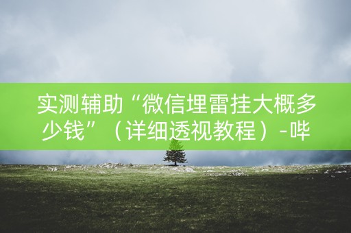 实测辅助“微信埋雷挂大概多少钱”（详细透视教程）-哔哩哔哩
