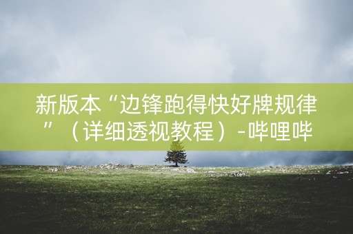 新版本“边锋跑得快好牌规律”（详细透视教程）-哔哩哔哩