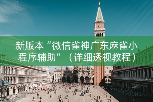 新版本“微信雀神广东麻雀小程序辅助”（详细透视教程）-哔哩哔哩
