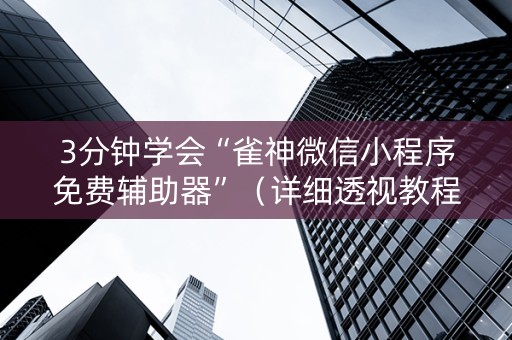 3分钟学会“雀神微信小程序免费辅助器”（详细透视教程）-哔哩哔哩