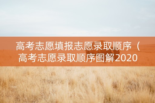 高考志愿填报志愿录取顺序（高考志愿录取顺序图解2020）
