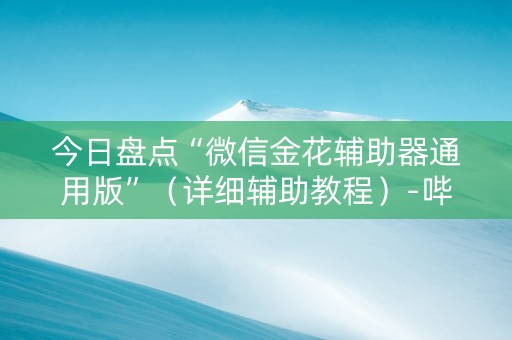 今日盘点“微信金花辅助器通用版”（详细辅助教程）-哔哩哔哩