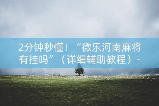 2分钟秒懂！“微乐河南麻将有挂吗”（详细辅助教程）-哔哩哔哩