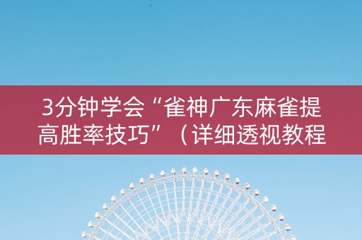 3分钟学会“雀神广东麻雀提高胜率技巧”（详细透视教程）-哔哩哔哩