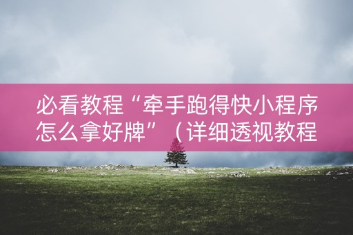 必看教程“牵手跑得快小程序怎么拿好牌”（详细透视教程）-哔哩哔哩