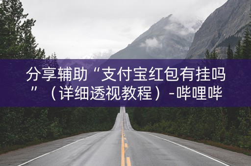 分享辅助“支付宝红包有挂吗”（详细透视教程）-哔哩哔哩