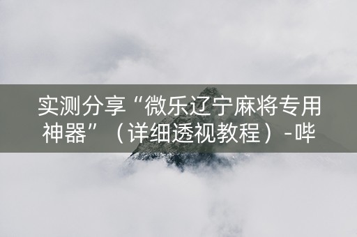 实测分享“微乐辽宁麻将专用神器”（详细透视教程）-哔哩哔哩