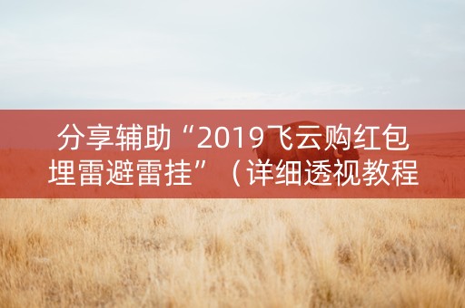 分享辅助“2019飞云购红包埋雷避雷挂”（详细透视教程）-哔哩哔哩