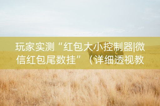 玩家实测“红包大小控制器|微信红包尾数挂”（详细透视教程）-哔哩哔哩