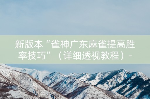 新版本“雀神广东麻雀提高胜率技巧”（详细透视教程）-哔哩哔哩