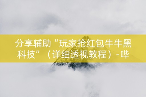 分享辅助“玩家抢红包牛牛黑科技”（详细透视教程）-哔哩哔哩