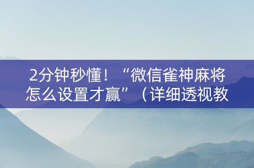 2分钟秒懂！“微信雀神麻将怎么设置才赢”（详细透视教程）-哔哩哔哩