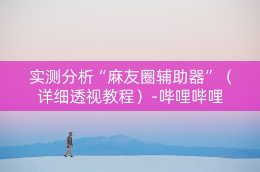 实测分析“麻友圈辅助器”（详细透视教程）-哔哩哔哩