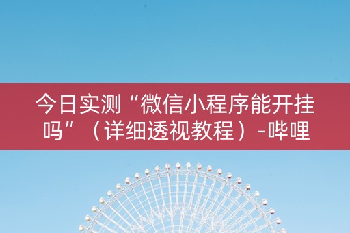 今日实测“微信小程序能开挂吗”（详细透视教程）-哔哩哔哩