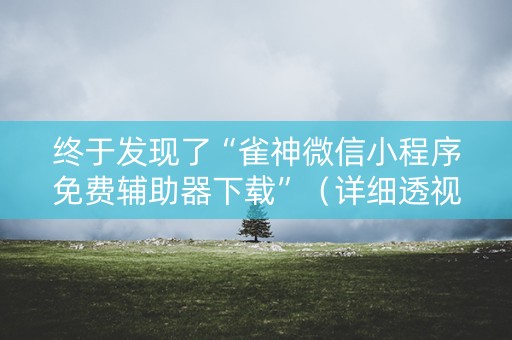 终于发现了“雀神微信小程序免费辅助器下载”（详细透视教程）-哔哩哔哩