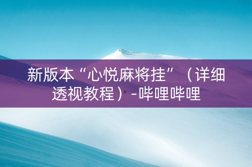 新版本“心悦麻将挂”（详细透视教程）-哔哩哔哩