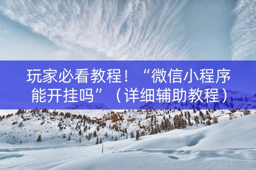 玩家必看教程！“微信小程序能开挂吗”（详细辅助教程）-哔哩哔哩