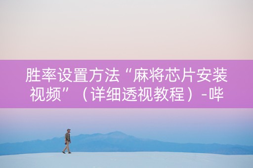 胜率设置方法“麻将芯片安装视频”（详细透视教程）-哔哩哔哩
