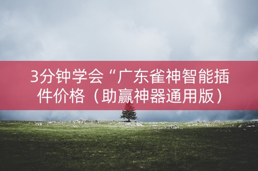 3分钟学会“广东雀神智能插件价格（助赢神器通用版）