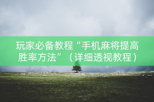 玩家必备教程“手机麻将提高胜率方法”（详细透视教程）-哔哩哔哩