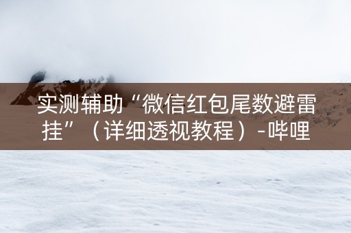 实测辅助“微信红包尾数避雷挂”（详细透视教程）-哔哩哔哩