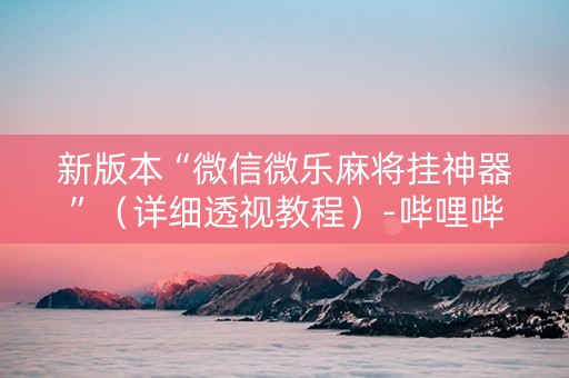 新版本“微信微乐麻将挂神器”（详细透视教程）-哔哩哔哩