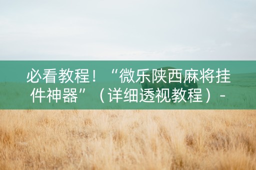 必看教程！“微乐陕西麻将挂件神器”（详细透视教程）-哔哩哔哩
