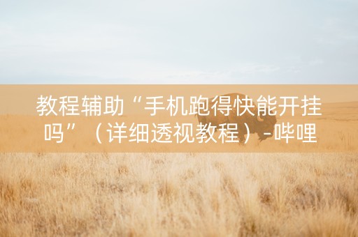 教程辅助“手机跑得快能开挂吗”（详细透视教程）-哔哩哔哩