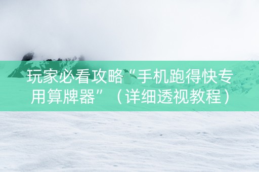 玩家必看攻略“手机跑得快专用算牌器”（详细透视教程）-哔哩哔哩