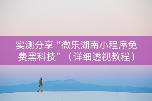 实测分享“微乐湖南小程序免费黑科技”（详细透视教程）-哔哩哔哩