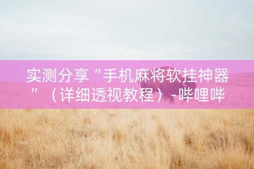 实测分享“手机麻将软挂神器”（详细透视教程）-哔哩哔哩