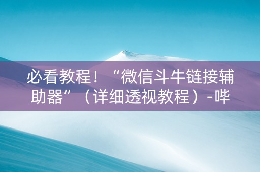 必看教程！“微信斗牛链接辅助器”（详细透视教程）-哔哩哔哩