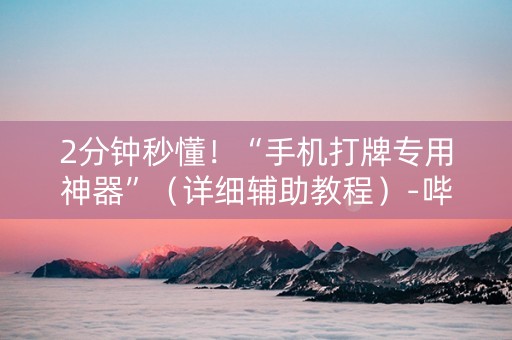 2分钟秒懂！“手机打牌专用神器”（详细辅助教程）-哔哩哔哩