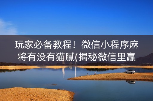 玩家必备教程！微信小程序麻将有没有猫腻(揭秘微信里赢牌的技巧)