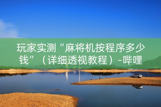 玩家实测“麻将机按程序多少钱”（详细透视教程）-哔哩哔哩
