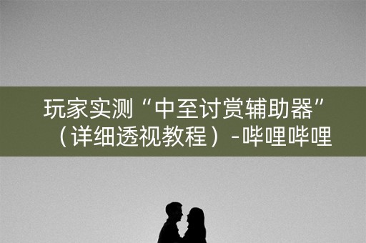 玩家实测“中至讨赏辅助器”（详细透视教程）-哔哩哔哩